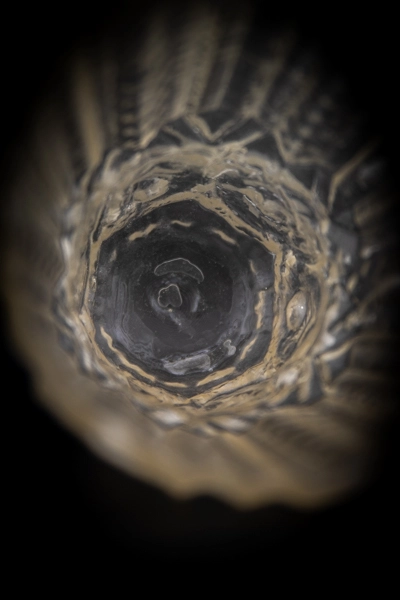 résine impression 3D - pièce en Translucide